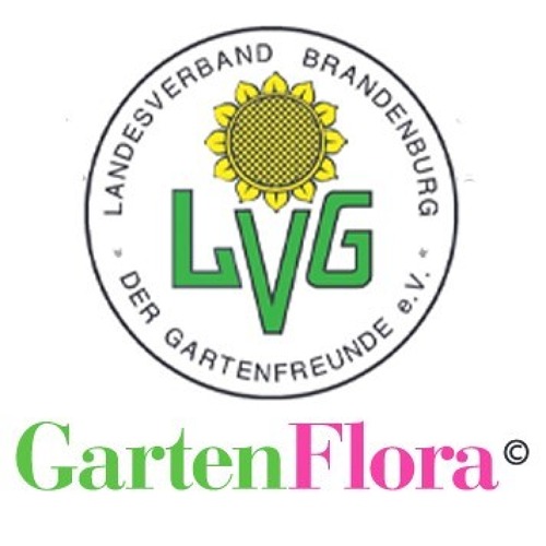 Verbandsinformationen Brandenburger GartenFlora 10/2024